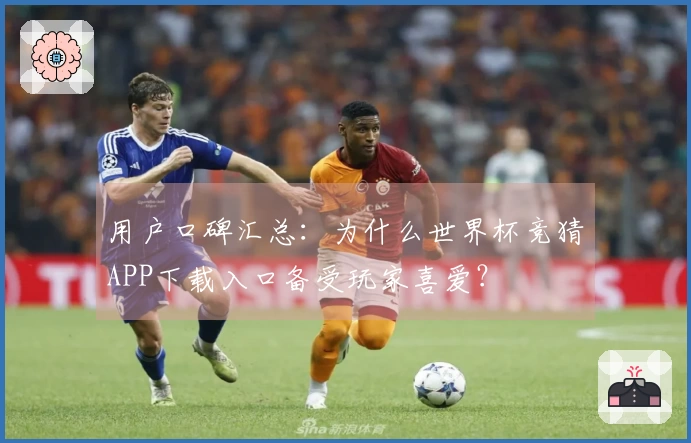 用户口碑汇总：为什么世界杯竞猜APP下载入口备受玩家喜爱？