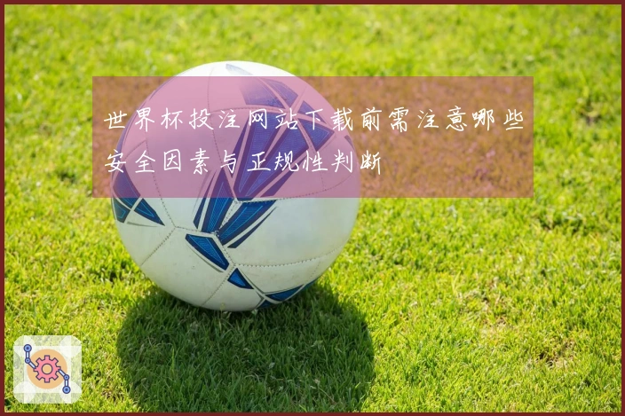 世界杯投注网站下载前需注意哪些安全因素与正规性判断