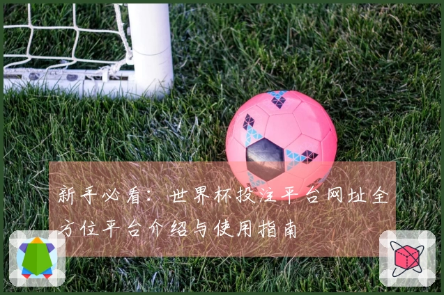 新手必看：世界杯投注平台网址全方位平台介绍与使用指南