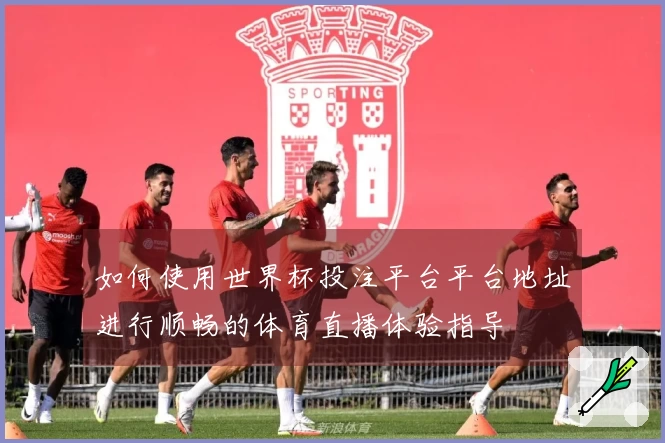 如何使用世界杯投注平台平台地址进行顺畅的体育直播体验指导