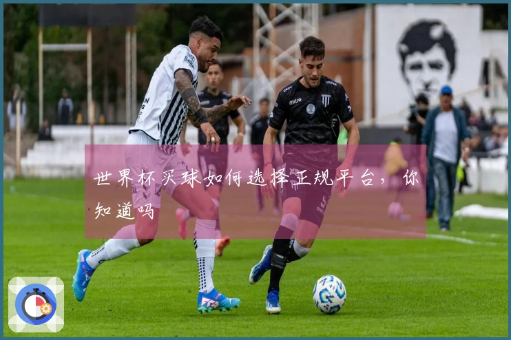 世界杯买球如何选择正规平台，你知道吗