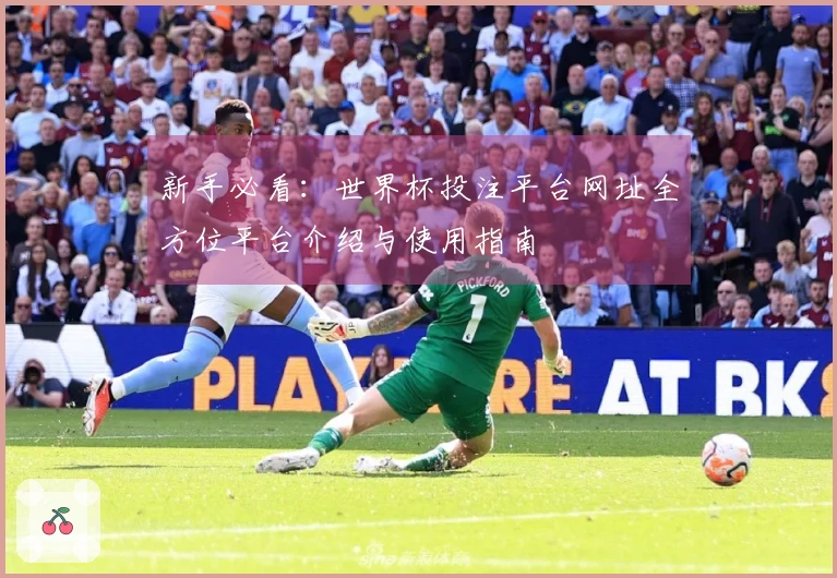 新手必看：世界杯投注平台网址全方位平台介绍与使用指南