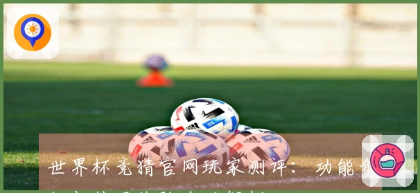 世界杯竞猜官网玩家测评：功能介绍与使用体验全面解析