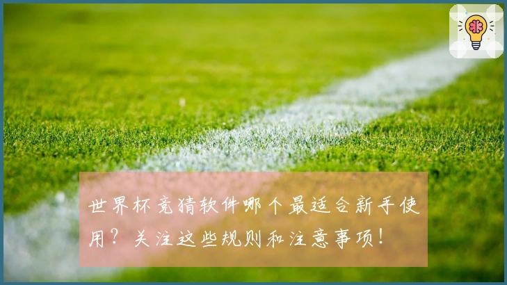 世界杯竞猜软件哪个最适合新手使用？关注这些规则和注意事项！