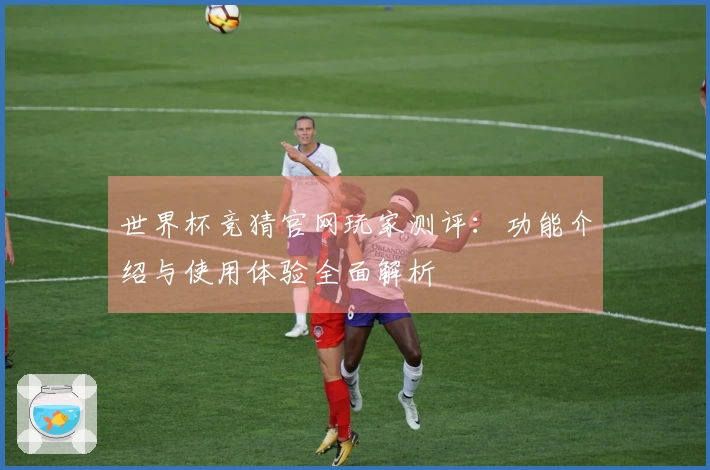 世界杯竞猜官网玩家测评：功能介绍与使用体验全面解析